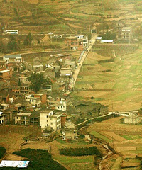 ���Ϲŵ����� �����Ƽ�