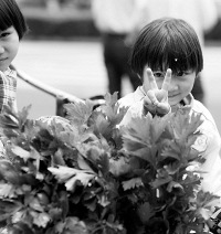 "一束束西芹,一份份爱心"