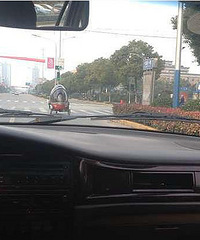 看到路上跑的很灰逊的球球 是电动车吗