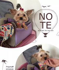 ����Լ���ı���