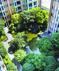 "“空中花园”建在楼顶"