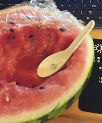 "。。。要是世界上没有西瓜这个物种的话。。。"