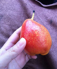 这个又是什麽