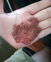 恶心到你们不是我的错。