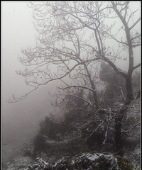 萧山第一场雪。戴村狮山下大雪了