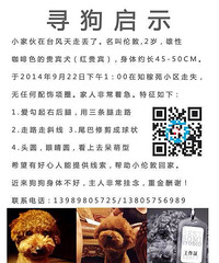 伦敦,我们都在等你回家。。。看到的请帮忙扩散,好人一生平安!