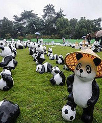 萌萌哒~熊猫展周六要来萧山啦!