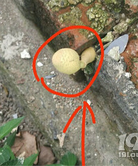 ������������ɶ����