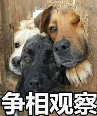 下半年最强冷空气!还有双台风