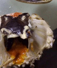 看吐了!螃蟹里黑漆漆的是啥?