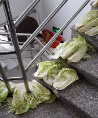 过分了!楼道摆成这样能走路?