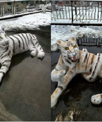 萧山这雪人太太太与众不同了吧!