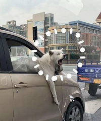 萧山街头一幕,这些司机长点心吧…