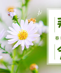 春天来啦!晒晒相机里的一抹绿