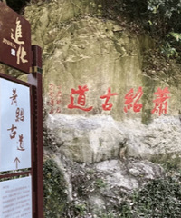 萧山踏青出游的好地方都在这里啦!