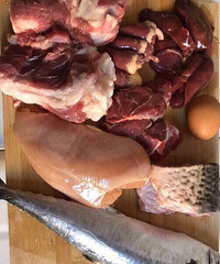 ����è������־Ҫ�������ӣ�