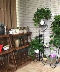 自带家庭小花园