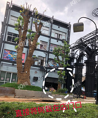 扫黑为何不将这个花木城霸主扫走?