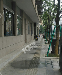 投入巨资的马路 人行道却整天湿漉漉