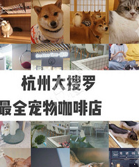 合集!——杭州网红宠物咖啡店大揭秘