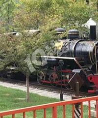 ���޺�ȥ����С�ڲ�����빫԰�ϼ�