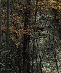 ��ϪѰ��������벻���ķ羰