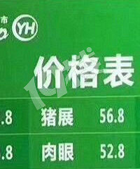 ���ڵ�������ʲ�����