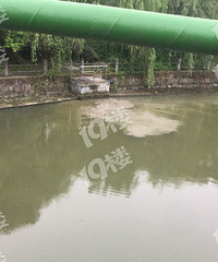 萧山临浦河水一天一个样,正常吗?