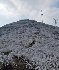【自然部落】20121223登东白山,赏雾淞奇观