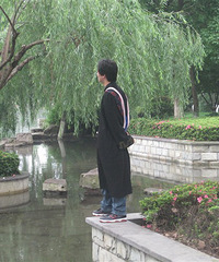 伤痛的心一片空白
