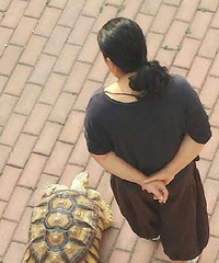 别人都遛狗,大妈你溜乌龟,给力啊