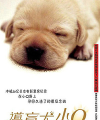 那些年我们看过的5部狗狗电影 你有没有看过?