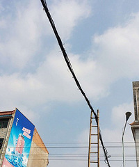 【爆料】义乌江东南路这个电线杆是个竹梯子