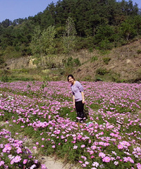 小溪花谷——义乌前傅村