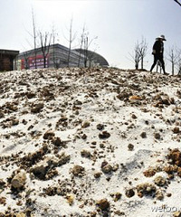 【爆料】义乌国际生产资料市场“下雪”啦