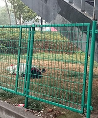 义乌工商学院边上的天桥下躺着个流浪汉 裹着条棉被也很冷啊 图