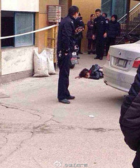 浦江大厦有女子跳楼身亡 只因想跟前夫复婚被拒 有图有真相