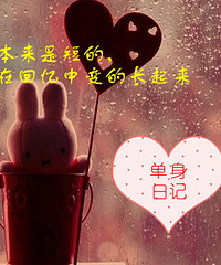 征集单身日记