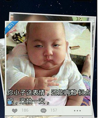 花坛《每天生活乐趣多一点》