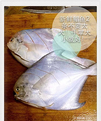 香煎鲳鱼!生姜都那么松脆那么好吃