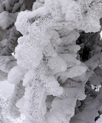 千山暮雪
