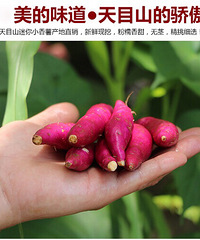 ����С����