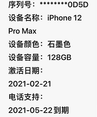 出国行iphone12Pro Max (128)
