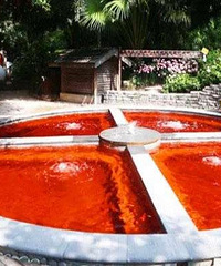 �ڻ���Ȫ�ǵ���Ʊ