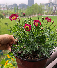 �����������Ǥ����3Ԫ���裬����Ǯ�õĻ���ʦ������