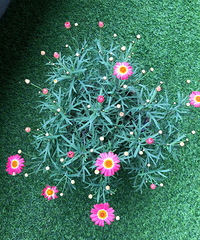 �����������Ǥ����3Ԫ���裬����Ǯ�õĻ���ʦ������