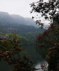 ת�����¼��½���˽�̿�