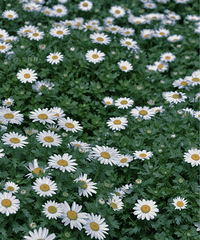 ����������������ת��