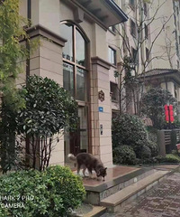 坐标大渡口