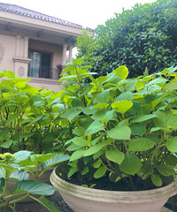 ��������ת��